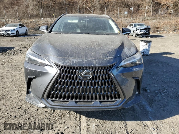 2023 Lexus NX with VIN JTJAGCEZ6P5005304, listed as a Copart auction lot 87232564 with 11,334 mi miles and Salvage Title. Bid and sale history available at carsss.com. Image 5.