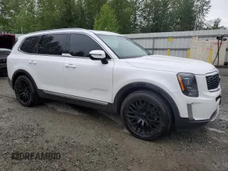 2020 Kia Telluride EX with VIN 5XYP3DHC2LG046777, listed as a Copart auction lot 57917025 with 66,494 mi miles and Salvage title. Bid and sale history available at DreamBid. Image 4.