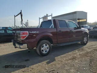 2009 Ford F-150 XL with VIN 1FTRW14889KC37087, listed as a Copart auction lot 58106134 with 225,464 mi miles and Salvage Title. Bid and sale history available at DreamBid. Image 3.