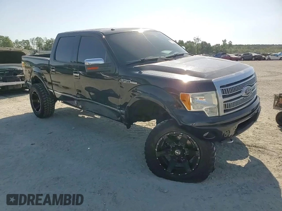 2010 Ford F-150 XL with VIN 1FTFW1EV7AFD74218, listed as a Copart auction lot 61984735 with 173,577 mi miles and Salvage title. Bid and sale history available at DreamBid. Image 13.