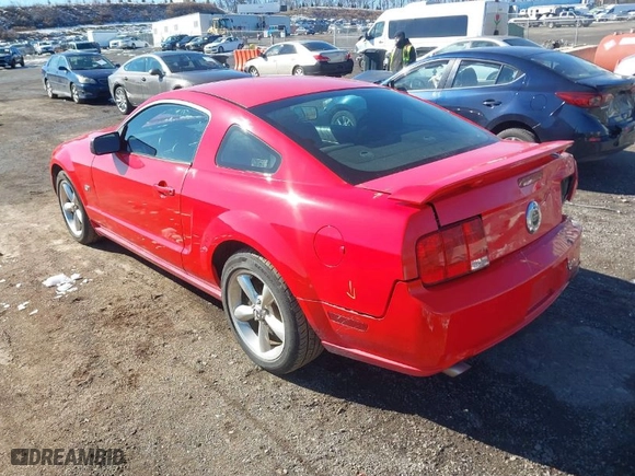 2008 Ford Mustang GT Deluxe with VIN 1ZVHT82HX85123943, listed as a IAAI auction lot 41565843 with NaN miles. Bid and sale history available at carsss.com. Image 3.