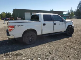 2010 Ford F-150 XL with VIN 1FTEW1E8XAFB89795, listed as a Copart auction lot 62423115 with 402,162 mi miles and Salvage title. Bid and sale history available at DreamBid. Image 3.