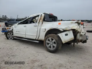 2010 Nissan Titan SE with VIN 1N6BA0ED6AN312861, listed as a Copart auction lot 88127865 with 166,205 mi miles and Salvage Title. Bid and sale history available at carsss.com. Image 2.