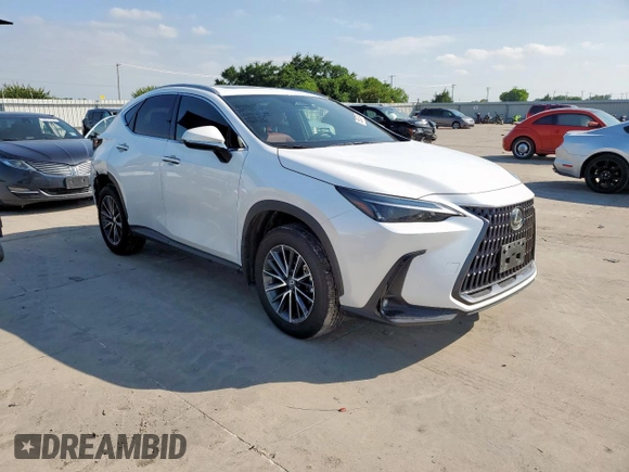 2024 Lexus NX 350h with VIN 2T2AKCEZ4RC026784, listed as a Copart auction lot 59357845 with 13,368 mi miles and Salvage title. Bid and sale history available at DreamBid. Image 4.