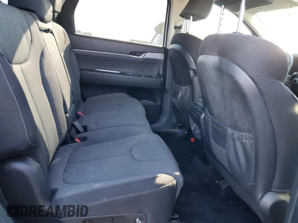 2020 Hyundai Palisade SE with VIN KM8R1DHE7LU051502, listed as a Copart auction lot 42409285 with 88,630 mi miles and Salvage title. Bid and sale history available at DreamBid. Image 11.