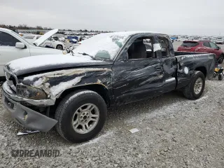 2004 Dodge Dakota SLT with VIN 1D7GL42N24S663852, listed as a Copart auction lot 82765124 with Not provided miles and Salvage title. Bid and sale history available at DreamBid. Image 1.