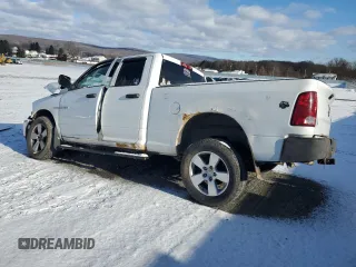 2010 Dodge 1500 TRX with VIN 1D7RV1GTXAS129762, listed as a Copart auction lot 44989825 with Not Provided miles and Salvage Title. Bid and sale history available at carsss.com. Image 2.