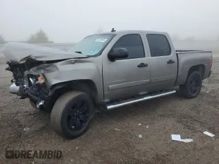 2007 Chevrolet Silverado 1500 LS with VIN 3GCEC13C77G548060, listed as a Copart auction lot 85428924 with 230,104 mi miles and Salvage Title. Bid and sale history available at carsss.com. Image 1.