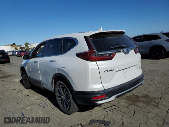 2020 Honda CR-V EX-L with VIN 7FART6H83LE012939, listed as a Copart auction lot 67102464 with 47,724 mi miles and Salvage title. Bid and sale history available at DreamBid. Image 2.