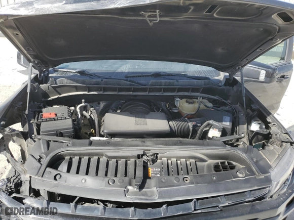 2019 Chevrolet Silverado 1500 LT Trail Boss with VIN 3GCPYFED3KG212539, listed as a Copart auction lot 49748175 with 116,202 mi miles and Salvage Title. Bid and sale history available at carsss.com. Image 13.