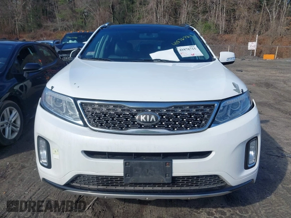 2014 Kia Sorento SX Limited with VIN 5XYKWDA76EG441420, listed as a IAAI auction lot 41876721 with 173,021 mi miles. Bid and sale history available at carsss.com. Image 12.
