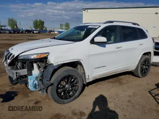 2017 Jeep Cherokee Overland with VIN 1C4PJMJS1HW594870, listed as a Copart auction lot 57781865 with 165,859 mi miles and Salvage title. Bid and sale history available at DreamBid. Image 1.