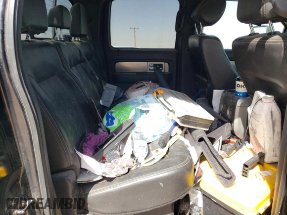 2013 Ford F-150 XL with VIN 1FTFW1ET9DFC18703, listed as a Copart auction lot 46942035 with 177,984 mi miles and Salvage Title. Bid and sale history available at carsss.com. Image 10.