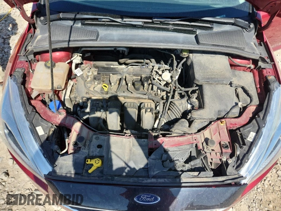 2016 Ford Focus SE with VIN 1FADP3F29GL353309, listed as a Copart auction lot 61203595 with 219,951 mi miles and Non repairable. Bid and sale history available at DreamBid. Image 11.