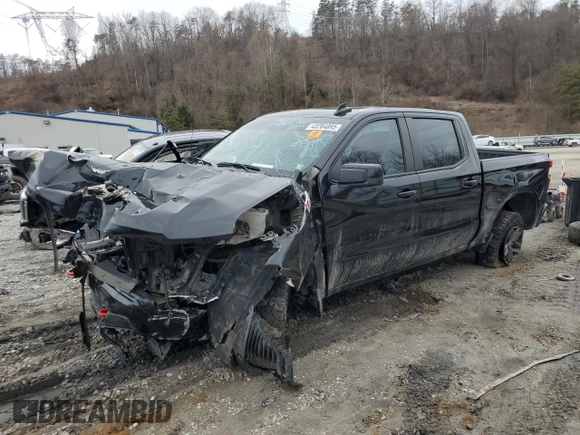 2023 Chevrolet Silverado 1500 LT Trail Boss with VIN 3GCUDFED4PG140806, listed as a Copart auction lot 43204895 with Not Provided miles and Salvage Title. Bid and sale history available at DreamBid. Image 1.
