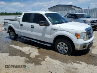 2013 Ford F-150 XL with VIN 1FTFW1EF8DFA22715, listed as a Copart auction lot 57919985 with 243,124 mi miles and Salvage title. Bid and sale history available at DreamBid. Image 4.