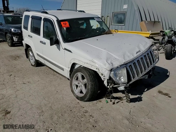 2010 Jeep Liberty Limited with VIN 1J4PN5GK0AW119549, listed as a Copart auction lot 41488385 with 0 mi miles and Salvage Title. Bid and sale history available at carsss.com. Image 11.