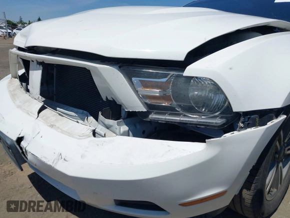 2011 Ford Mustang V6 with VIN 1ZVBP8EM7B5120394, listed as a IAAI auction lot 42207328 with 155,584 mi miles and . Bid and sale history available at DreamBid. Image 14.