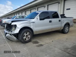 2009 Ford F-150 XL with VIN 1FTRW12839FB19217, listed as a Copart auction lot 55787375 with 245,396 mi miles and Salvage title. Bid and sale history available at DreamBid. Image 1.