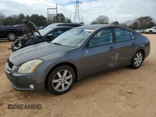2005 Nissan Maxima 3.5 SE with VIN 1N4BA41EX5C815700, listed as a Copart auction lot 42717065 with 202,229 mi miles and Salvage Title. Bid and sale history available at carsss.com. Image 1.