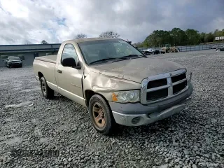 2002 Dodge 1500 with VIN 1D7HA16K52J263179, listed as a Copart auction lot 86451004 with 317,721 mi miles and Salvage Title. Bid and sale history available at DreamBid. Image 11.