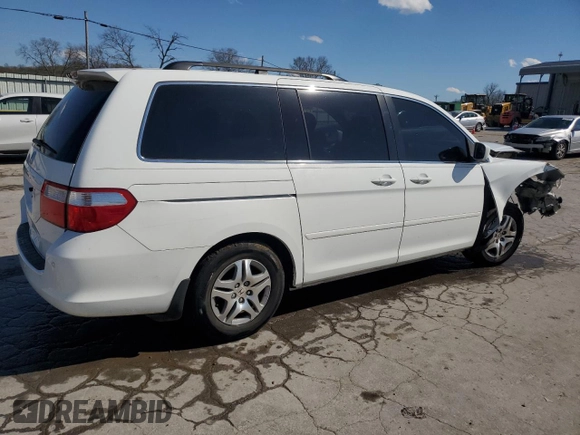 2007 Honda Odyssey EX-L with VIN 5FNRL38677B420231, listed as a Copart auction lot 50798615 with 0 mi miles and Salvage Title. Bid and sale history available at carsss.com. Image 3.