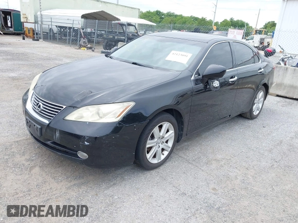 2007 Lexus ES 330 with VIN JTHBJ46G772091377, listed as a IAAI auction lot 42123091 with Not Provided miles and . Bid and sale history available at DreamBid. Image 2.