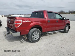 2013 Ford F-150 XL with VIN 1FTFW1EF5DFA72956, listed as a Copart auction lot 49891245 with 142,672 mi miles and Salvage Title. Bid and sale history available at DreamBid. Image 3.