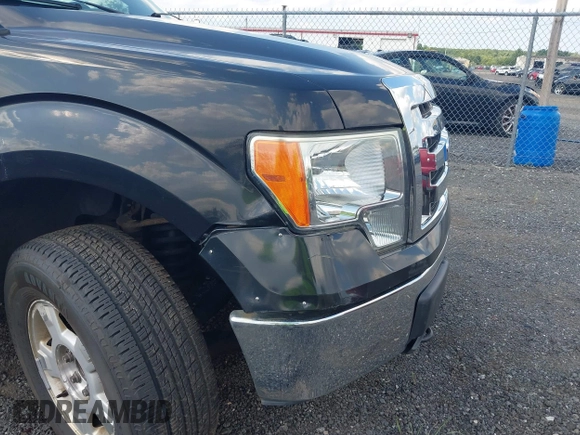 2010 Ford F-150 XL z VIN 1FTEW1E85AFC37042, wystawiony jako IAAI lot #42629730 z przebiegiem 195 760 mil mil oraz . Historia ofert i sprzedaży dostępna na DreamBid. Obrazek 6.