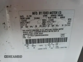 2009 Ford F-150 STX with VIN 1FTRX12809KB40594, listed as a Copart auction lot 49346625 with 490,523 mi miles and Clean Title. Bid and sale history available at carsss.com. Image 12.