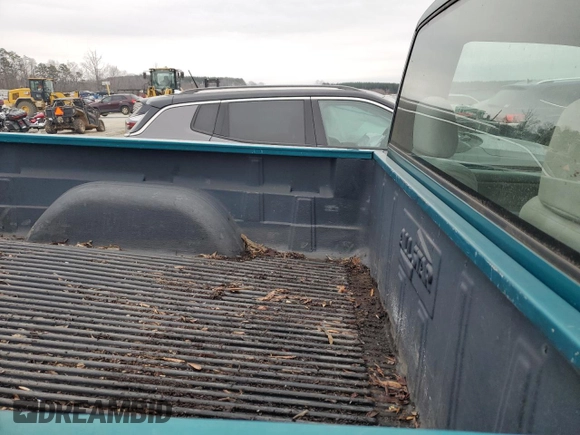 1995 Chevrolet Silverado 1500 with VIN 1GCEK14K0SZ257742, listed as a Copart auction lot 42437355 with 183,760 mi miles and Salvage Title. Bid and sale history available at DreamBid. Image 10.