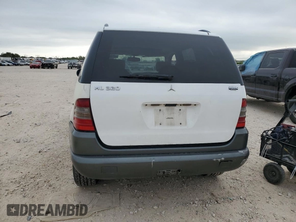 1999 Mercedes-Benz M-Class with VIN 4JGAB54E6XA112237, listed as a Copart auction lot 80163624 with 224,995 mi miles and Salvage Title. Bid and sale history available at carsss.com. Image 6.