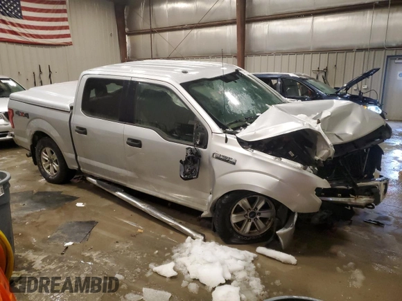2016 Ford F-150 XLT with VIN 1FTEW1EF9GFB12875, listed as a Copart auction lot 51447015 with Not provided miles and Non repairable. Bid and sale history available at DreamBid. Image 4.