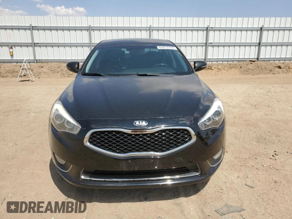 2015 Kia Cadenza Premium with VIN KNALN4D75F5174426, listed as a Copart auction lot 65013104 with 204,459 mi miles and Clean Title. Bid and sale history available at carsss.com. Image 5.