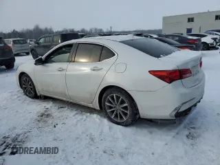 2019 Acura TLX w/Technology Pkg with VIN 19UUB1F59KA800248, listed as a Copart auction lot 87273634 with 123,808 mi miles and Clean Title. Bid and sale history available at carsss.com. Image 2.