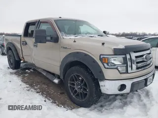 2009 Ford F-150 XL with VIN 1FTPW14VX9FA21926, listed as a IAAI auction lot 41345691 with 251,446 mi miles. Bid and sale history available at carsss.com. Image 1.