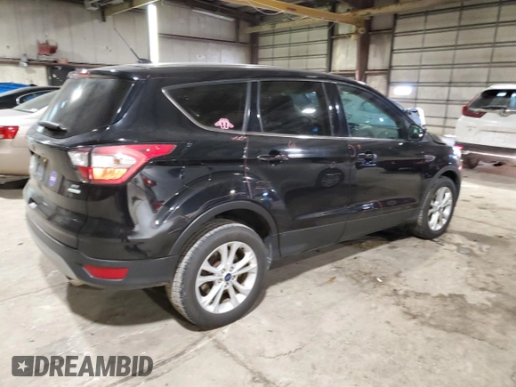 2017 Ford Escape SE with VIN 1FMCU0GD1HUD91766, listed as a Copart auction lot 45478855 with 123,818 mi miles and Salvage Title. Bid and sale history available at carsss.com. Image 3.