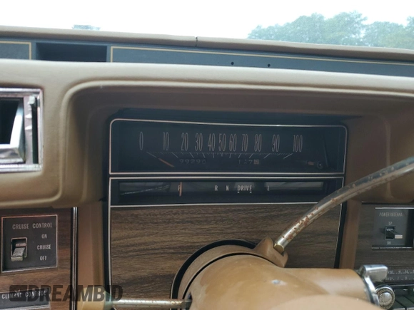 1976 Cadillac Seville z VIN 6S69R6Q491846, wystawiony jako Copart lot #65389324 z przebiegiem 99 290 mil mil oraz Szkoda całkowita • Salvage title. Historia ofert i sprzedaży dostępna na DreamBid. Obrazek 9.