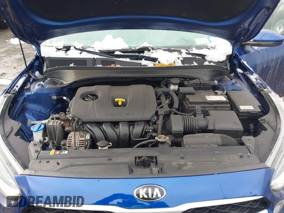 2019 Kia Forte LXS with VIN 3KPF24AD2KE124858, listed as a IAAI auction lot 41073436 with 95,218 mi miles. Bid and sale history available at carsss.com. Image 10.