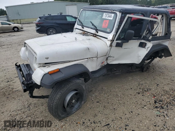 1995 Jeep Wrangler S with VIN 1J4FY19P3SP252810, listed as a Copart auction lot 71873444 with 0 mi miles and Salvage Title. Bid and sale history available at carsss.com. Image 1.