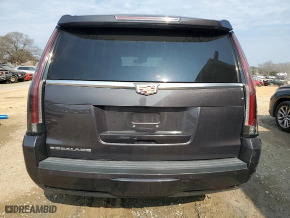 2016 Cadillac Escalade Luxury Collection with VIN 1GYS3BKJ2GR191695, listed as a Copart auction lot 44010225 with 118,062 mi miles and Salvage Title. Bid and sale history available at carsss.com. Image 6.