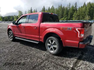 2017 Ford F-150 XL with VIN 1FTEW1EP4HKE01681, listed as a Copart auction lot 57532195 with 95,882 mi miles and Salvage title. Bid and sale history available at DreamBid. Image 2.