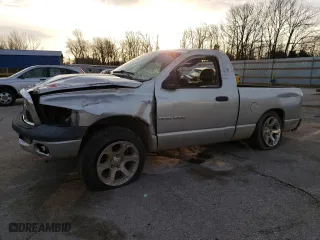 2003 Dodge Ram 1500 ST with VIN 1D7HA16N83J574066, listed as a Copart auction lot 49056675 with 110,308 mi miles and Salvage Title. Bid and sale history available at carsss.com. Image 1.