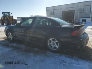 2002 Pontiac Grand Am GT1 with VIN 1G2NV52E22M728965, listed as a Copart auction lot 46291005 with 132,345 mi miles and Salvage Title. Bid and sale history available at carsss.com. Image 2.