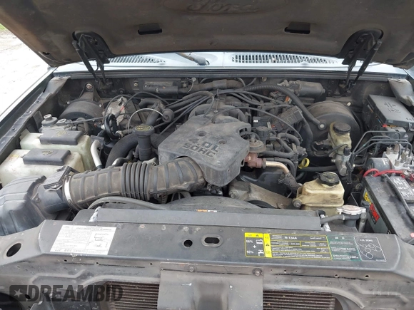 2005 Ford Explorer Sport Trac XLS with VIN 1FMZU67K95UB78118, listed as a IAAI auction lot 42637255 with 175,089 mi miles and . Bid and sale history available at DreamBid. Image 10.