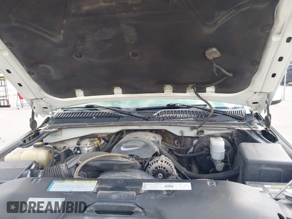 2001 Chevrolet Silverado 1500 LS with VIN 1GCEK19T21E163207, listed as a IAAI auction lot 42059312 with 253,281 mi miles and . Bid and sale history available at DreamBid. Image 10.