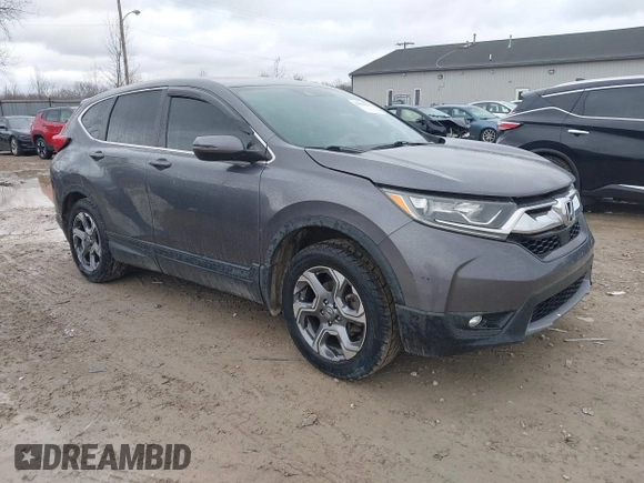 2019 Honda CR-V EX with VIN 2HKRW1H51KH516045, listed as a IAAI auction lot 41834293 with 113,438 mi miles. Bid and sale history available at carsss.com. Image 1.