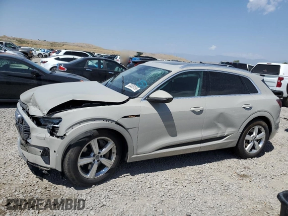 2019 Audi e-tron Premium Plus with VIN WA1LAAGE2KB024948, listed as a Copart auction lot 60459195 with 57,391 mi miles and Salvage title. Bid and sale history available at DreamBid. Image 1.