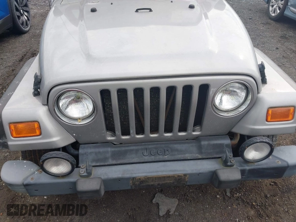 2002 Jeep Wrangler Sport with VIN 1J4FA49SX2P706691, listed as a IAAI auction lot 41965852 with 179,553 mi miles. Bid and sale history available at carsss.com. Image 6.