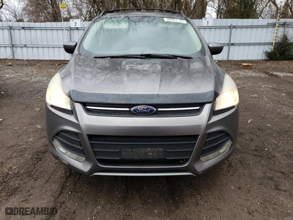 2013 Ford Escape SE with VIN 1FMCU0G96DUD13019, listed as a Copart auction lot 49907175 with 238,248 mi miles and Clean Title. Bid and sale history available at carsss.com. Image 5.